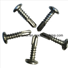 Screw Flat Head Self Drilling Screw Tapping Screw Chipboard Screw Countersunk Screw